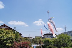 こどもの日には こいのぼり を 川崎市 藤子 F 不二雄ミュージアム