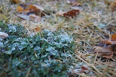 20131221_1
