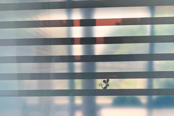 20190620blog-2