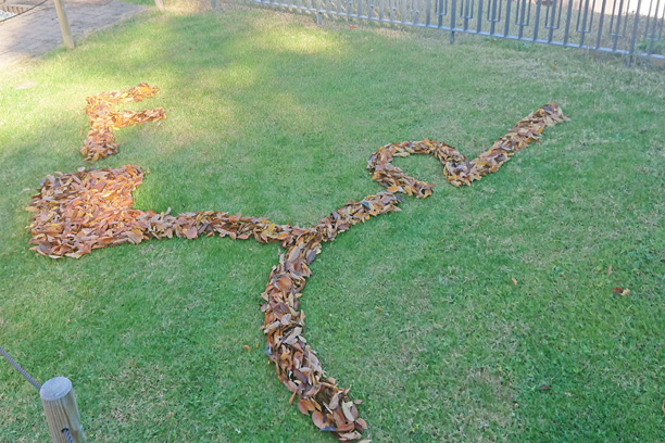 落ち葉アート2