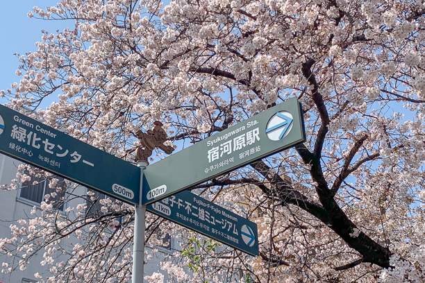 20190406blog-3