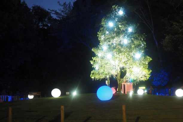 20191110ブログ02